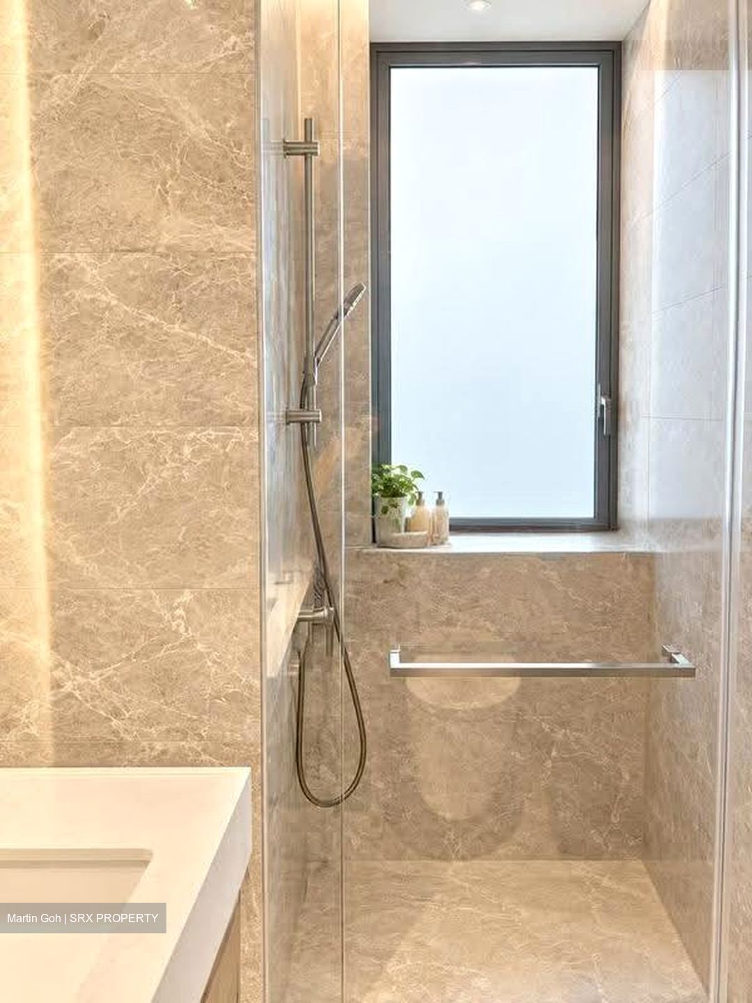 Cuscaden Reserve (D10), Condominium #626136371